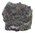 Xenoceltites spitzbergensis (SPATH, 1934)